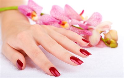 mãos femininas, tratamentos de spa, manicure
