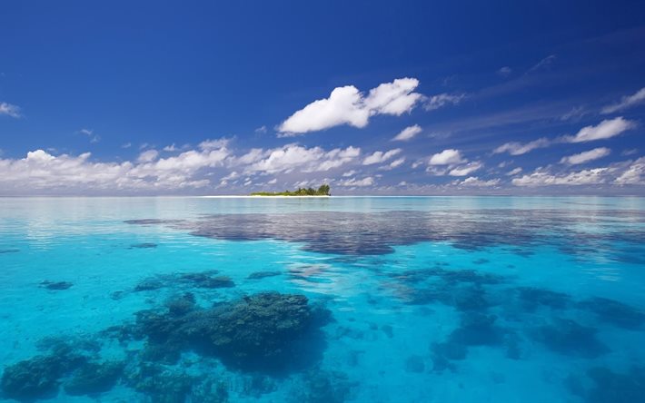 l'île, l'eau bleue de l'océan, le reste