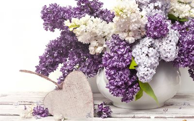 flowers, lilac, the buzok