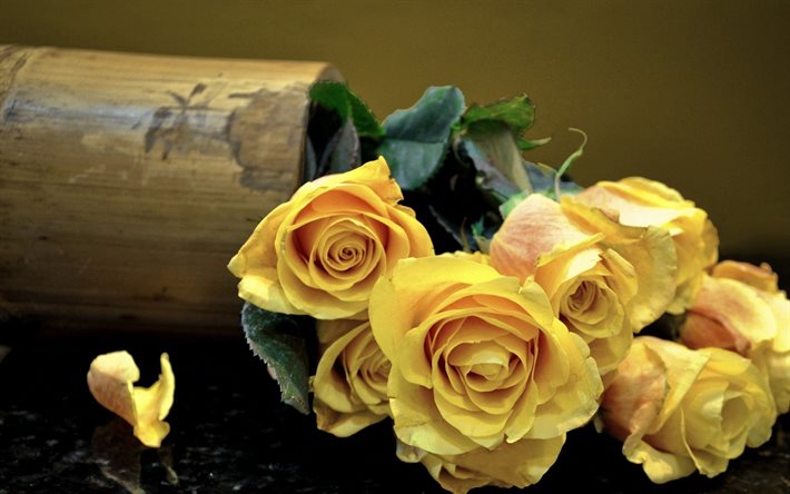 पीले गुलाब के फूल, गुलदस्ता गुलाब का, गुलाब का गुलदस्ता