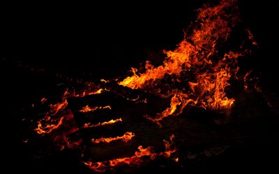 आग, जलाऊ लकड़ी