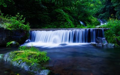 ett litet vattenfall, liten privat, skog