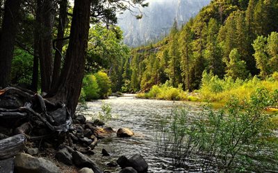 mountain river, mountains, photo forests, beautiful forest, gori