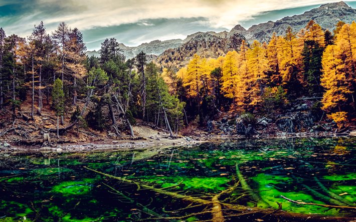 paisagem de outono, lago da montanha, árvores amarelas, folhas amarelas, emerald lake, outono, paisagem montanhosa