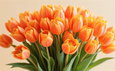 Bouquet of orange tulips, 4k, large spring bouquet, orange tulips, orange flowers, tulip bouquet, spring, tulips