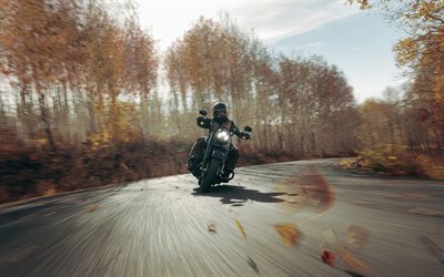 4k, Harley-Davidson Road King Special, road, 2024 bikes, superbikes, autumn, 2024 Harley-Davidson Road King Special, american motorcycles, Harley-Davidson