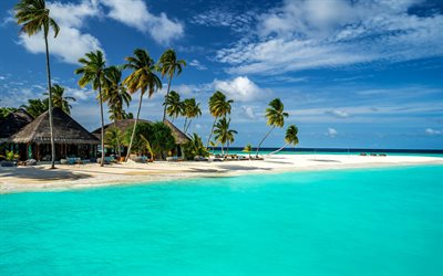 isole tropicali, palme, oceano, maldive, paradiso, bungalow, isole nell'oceano, viaggio estivo, azure acqua