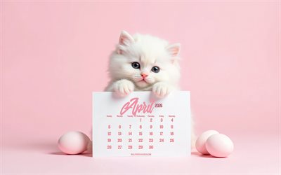 kalender april 2026, 4k, weißes flauschiges kätzchen, ostereier, kätzchen mit kalender, kleines kätzchen, april kalender, konzepte für 2026, april kalender 2026, rosa hintergrund, ostern