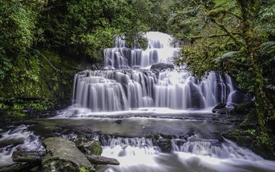 Waterfall, forest, river, beautiful waterfall, stones