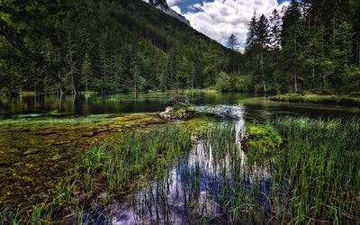 gruner göl, yeşil görmek, styria gruner lake, Avusturya