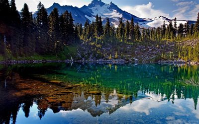 lago de origen glaciar, el agua del deshielo, el lago, el pino, el bosque