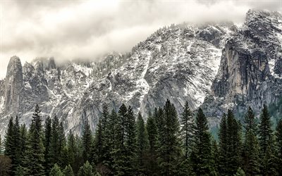 montagna, foresta, coperte di neve, rocce, gori