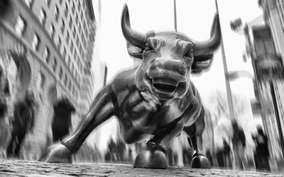 미국, 브로드웨이, 뉴욕, wall street, charging bull, 금융 지구