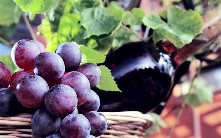 large grapes, wine