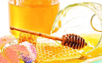 le miel, un pot de miel