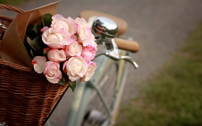 pink roses, bike