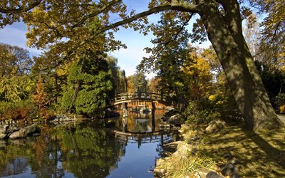 the pond, park, wooden bridge