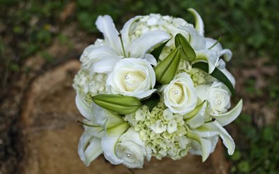 white roses, wedding bouquet, photo
