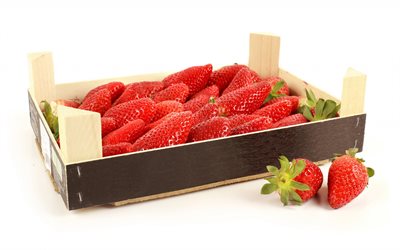 mûres, les fraises, les stigla polonica
