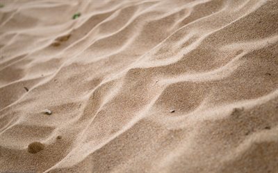 la sabbia, la spiaggia, il resto