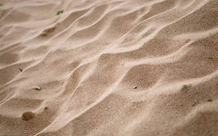 sand, the beach, the rest