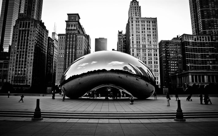 거울 콩, 미국, 시카고, 일리노이