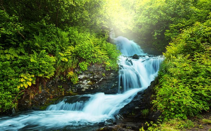 vackert vattenfall, foton av vattenfall, skog, solens strålar