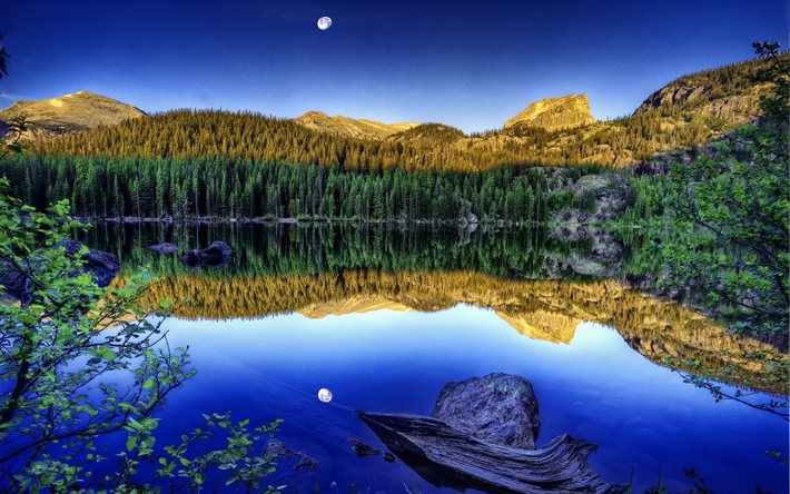 beautiful scenery, hdr, the lake, coniferous forest