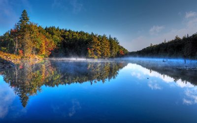 le matin, le lac, automne, brouillard, plaies