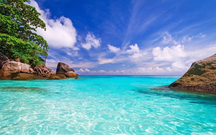 tropisk ö, hav, thailand, blått vatten