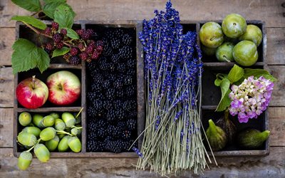 apple, plum, lavender, photo
