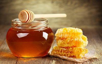 mel, célula, um pote de mel