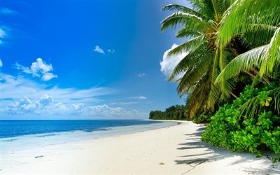 the ocean shore, paradise island, white sand