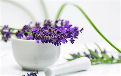 lavender, spa treatments, the lavender flower