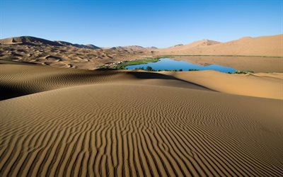 postale, le dune, la sabbia, un sacco di sabbia, oasi, deserto, barhani