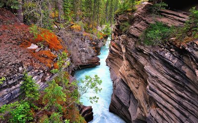 rock, beautiful gorge, forest, blue river, river