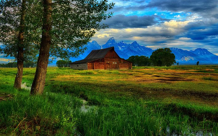 forest, mountains, beautiful nature, hut, wyoming