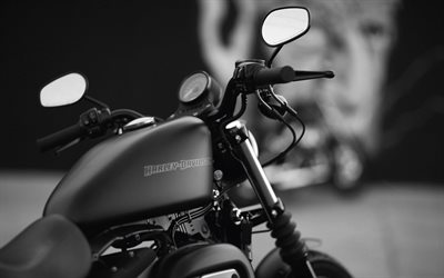 Harley-Davidson, 멋진 오토바이, 탱크 오토바이, 자전거