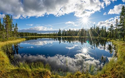 telemark county, 호, 여름, 태양이 밝, kjos, 노르웨이