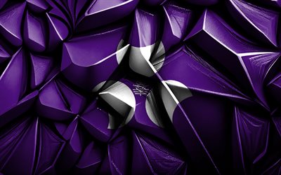 flagge von gunma, 4k, kreative 3d textur, gunma 3d flagge, japanische präfekturen, japan, gunma flagge, 3d kunst, flagge der präfektur gunma, gunma