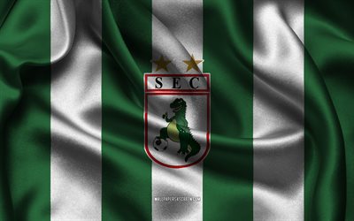 4k, sousa ec  logo, grüner weißer seidenstoff, brasilianische fußballmannschaft, sousa ec emblem, brasilianische serie d, sousa ec, brasilien, fußball, sousa ec flag, sousa fc, sousa esporte clube