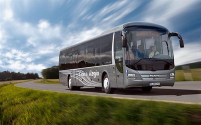 man lions regio c, 4k, trasporto passeggeri, 2023 autobus, trasporto civile, trasporto di persone, turismo, 2023 man lions regio c, uomo