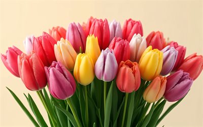 Bouquet of multi-colored tulips, 4k, red tulips, yellow tulips, purple tulips, spring flowers, tulips