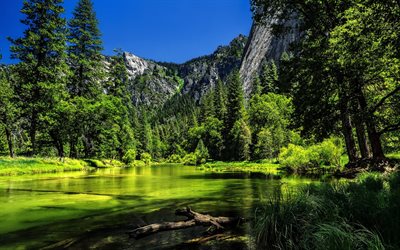 منتزه يوسمايت الوطني, الصيف, ميرسيد النهر, سييرا نيفادا, الغابات, كاليفورنيا, الولايات المتحدة الأمريكية