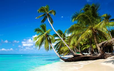 isole tropicali, 4k, maldive, palme sulla spiaggia, palme sulla riva, paradiso, viaggio estivo, oceano, estate