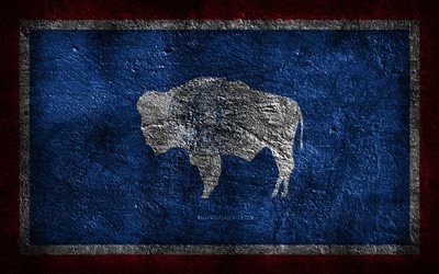4k, Wyoming State flag, stone texture, Flag of Wyoming State, Wyoming flag, Day of Wyoming, grunge art, Wyoming, American national symbols, Wyoming State, American states, USA
