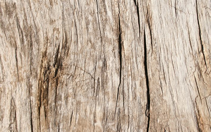 ひびの入った木の質感, 4k, 薄茶色の木製の背景, 大きい, 木製の背景, 木製のテクスチャ