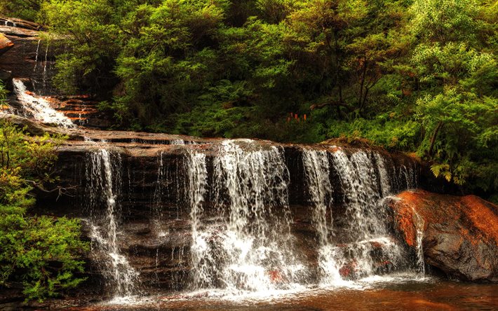 Wentworth Falls, cascade, şelaleler, kayalar, dere, Avustralya