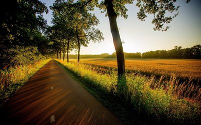 route de campagne, la route parfaite, coucher de soleil, asphalte parfait