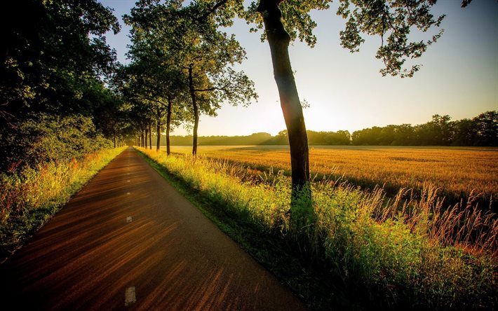 strada di campagna, strada perfetta, tramonto, asfalto perfetto